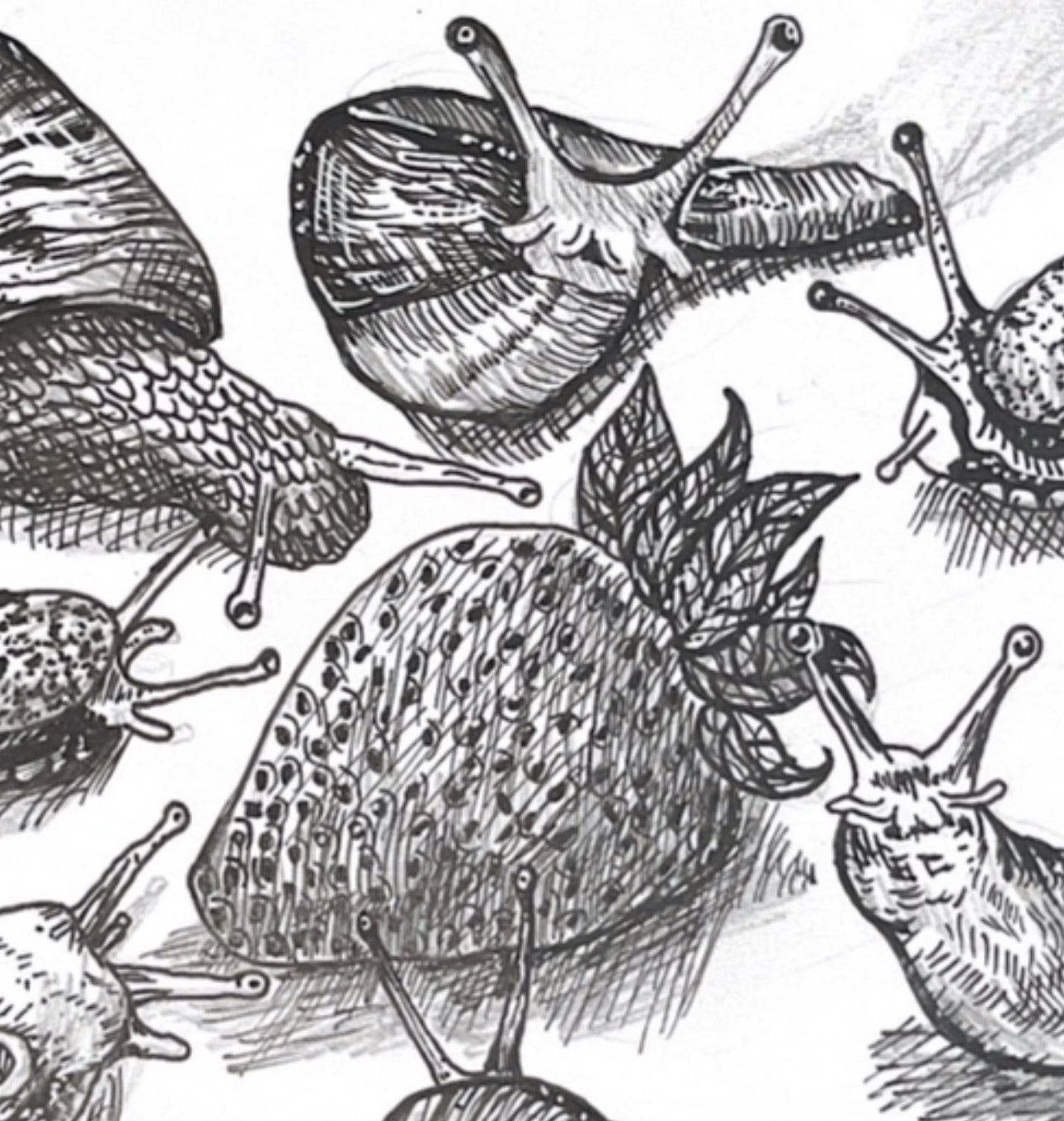 Sludge Fest Oringal Artwork