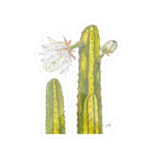 Echinopsis Pachanoi Kiss-Cut Sticker