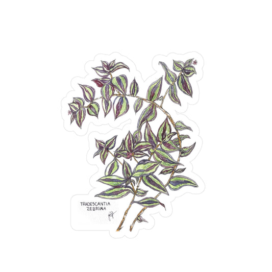 Tradescantia Zebrina Kiss-Cut Sticker