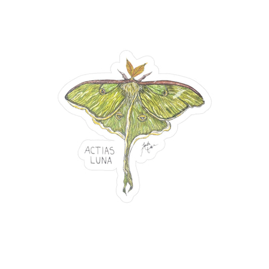 Actias Luna Kiss-Cut Sticker