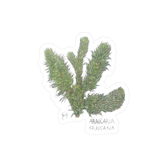 Araucaria Araucana Kiss-Cut Sticker