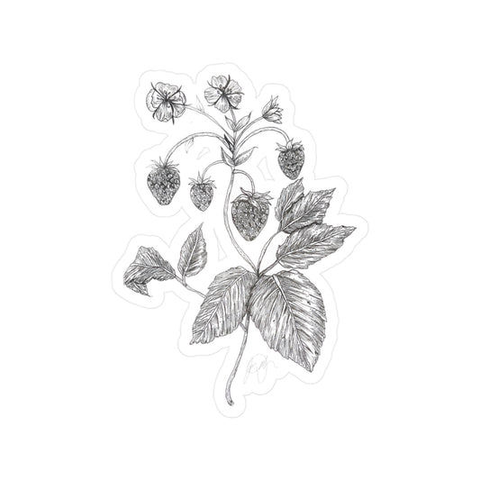 Fragaria chiloensis Kiss-Cut Sticker