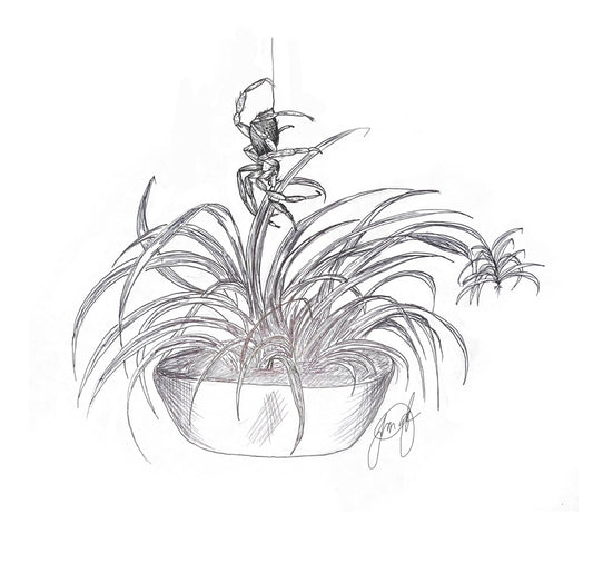 Spider’s Sanctuary Original Artwork