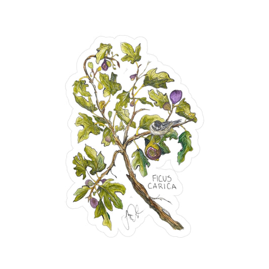Ficus Carica Kiss-Cut Sticker