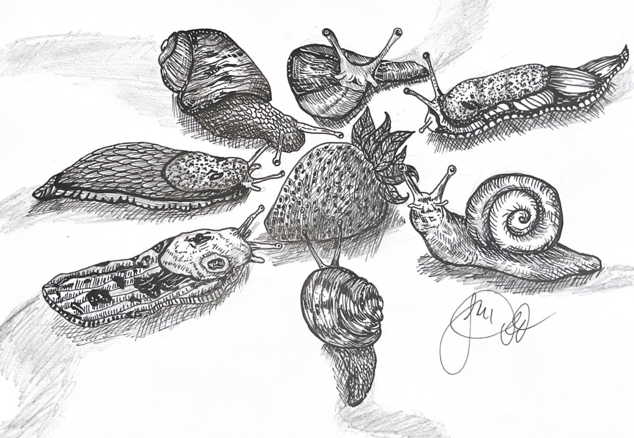 Sludge Fest Oringal Artwork